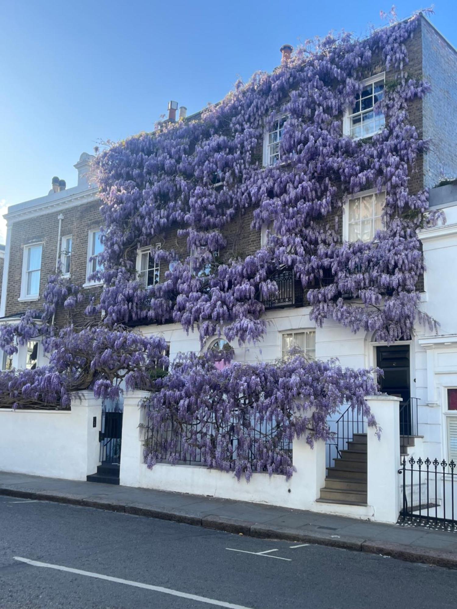 Appartement Opening Offers - Awesome Very Flat In Famous Notting Hill With A Balcony